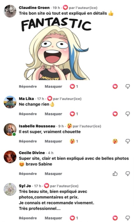 Commentaires Facebook : « Très bon site où tout est expliqué en détails », « Ne change rien », « Il est super, vraiment chouette », « Super site, clair et bien expliqué », « Très beau site, très professionnel »